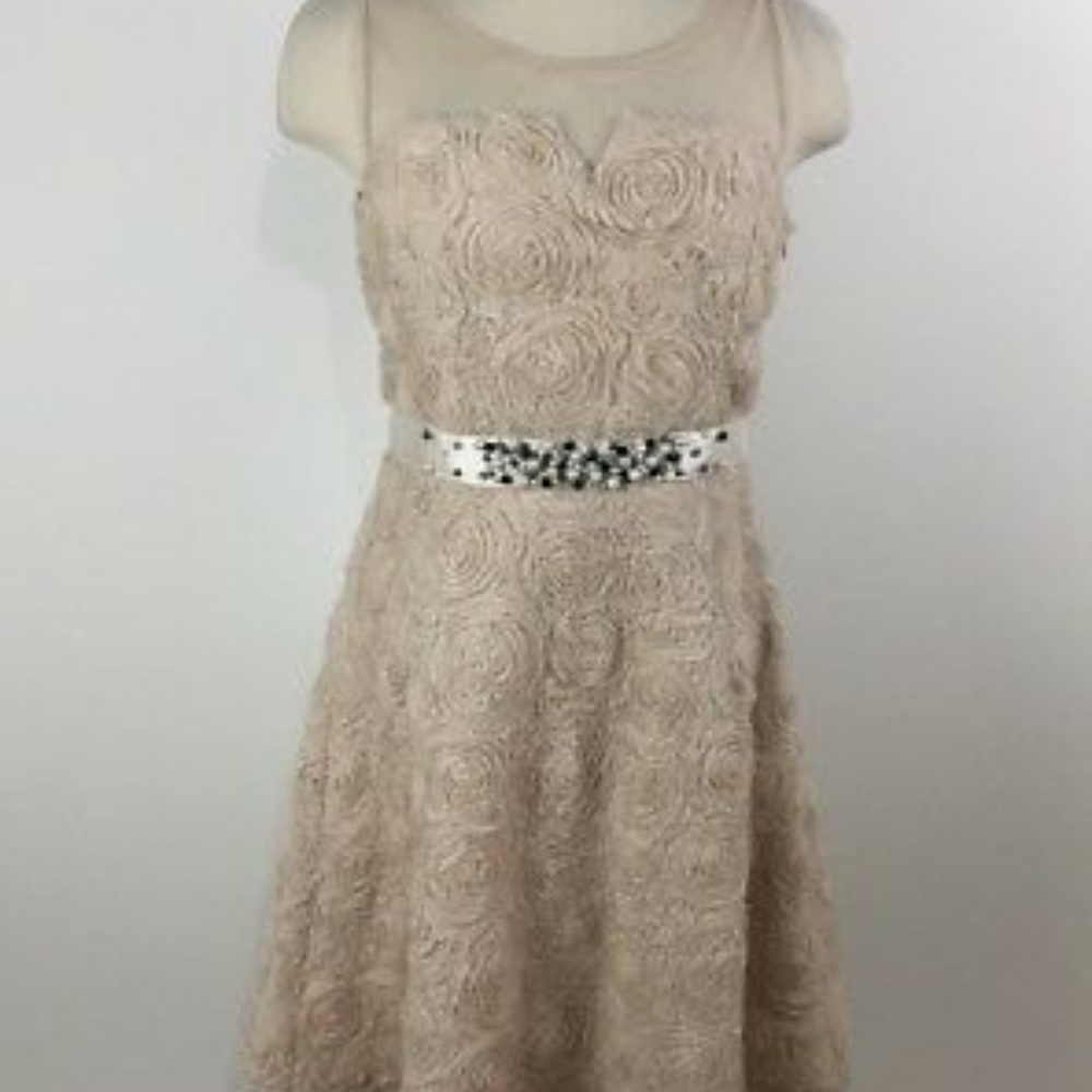 Ryu Mod Cloth Dusty Rose Dress - NWT